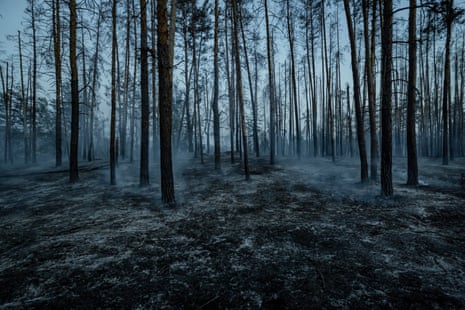 A forest on the outskirts of Lyman burns after shelling