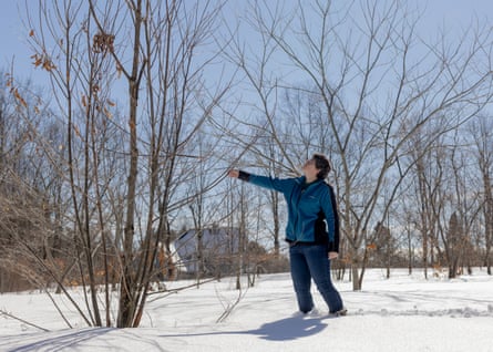 Woman stands in snow among trees, touching a branch