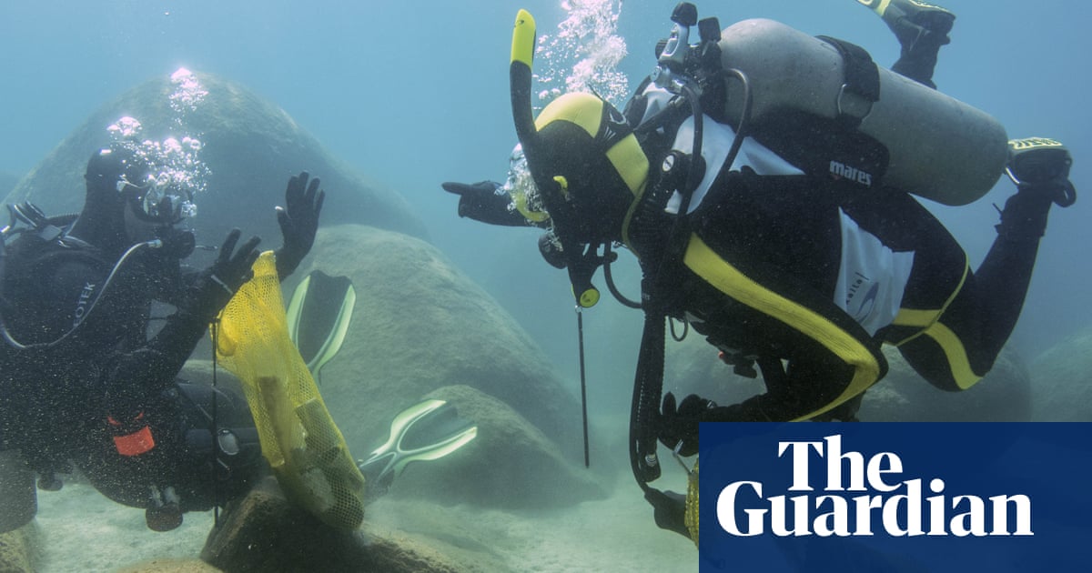 Divers remove 200lb of trash from Lake Tahoe in one day – video