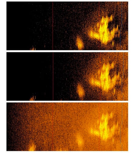 Sonar images of aircraft