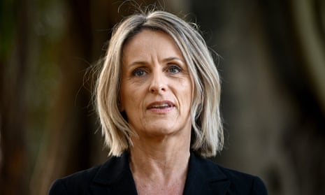 NSW Greens MP Sue Higginson