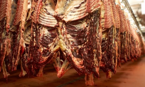 Freshly slaughtered cows in an abbatoir. The environmental cost of wasting meat is high because all the valuable resources that went into its production are wasted too. 