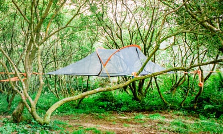Tentsile tree tents are slung between tree trunks several feet above ground, Kudhva, Cornwall