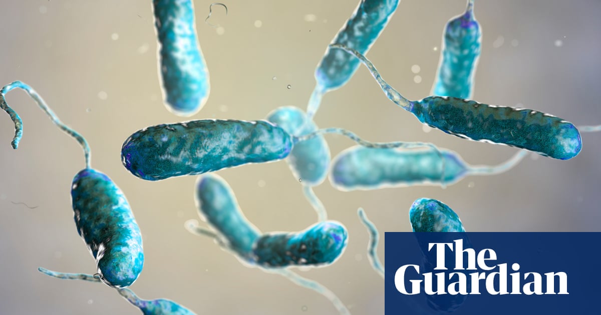 Rare flesh-eating bacteria kill three in New York and Connecticut – The Guardian US