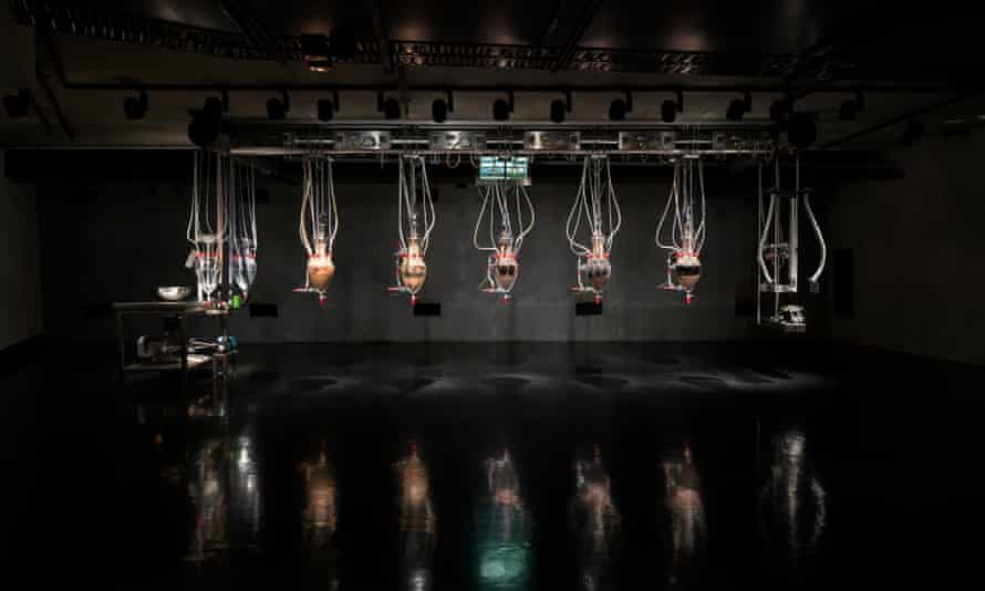 Professional Cloaque, by Wim Delvoye.