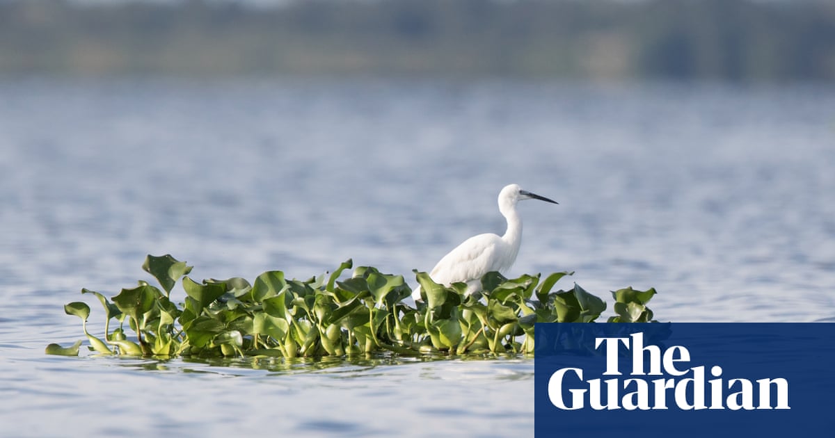 Protected areas don’t always benefit wildlife, global study finds