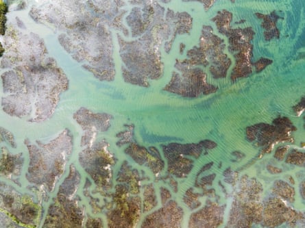 An aerial view of green water in an estuary