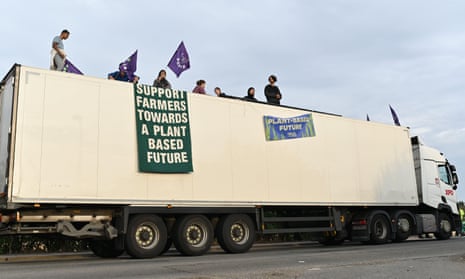 Animal Rebellion protesters climb on top of a truck at the Arla Aylesbury depot