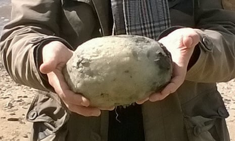Gary Williams holds a lump of ambergris