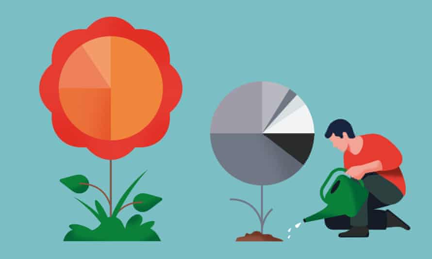 Illustration of man watering flowers resembling pie charts