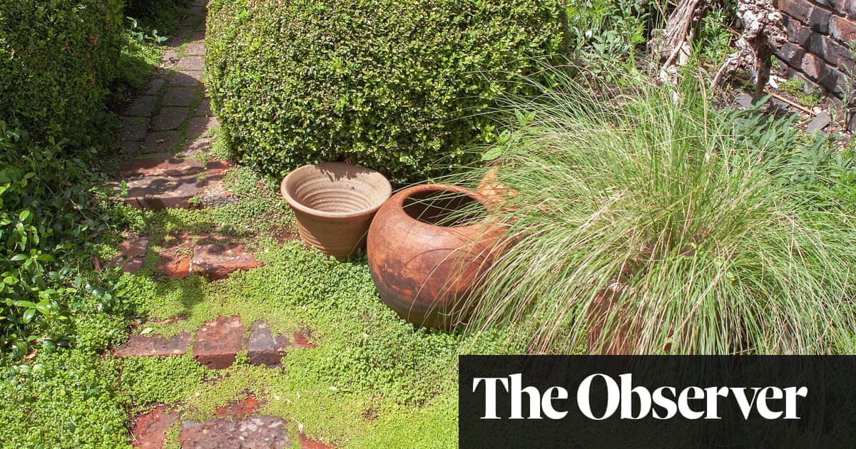 How to turn a patio into a green oasis