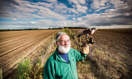Bob Edwards with Gillie, a male Peregrine Falcon, near Stoneleigh, near Coventry. The falconer will not be able to keep his birds if the high-speed railway goes ahead.
