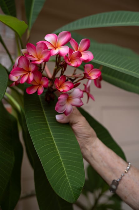 Betsy Lewis gently admires a plant in her home.