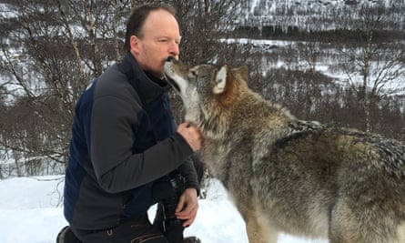 Rushby meets wolf at Polar Park, Norway