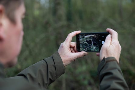 Darren Parkin zooms in on the escaped wallaby
