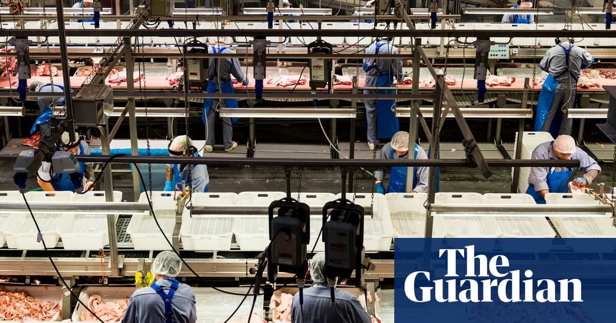 We have to fight for these conditions: why Danish meat plant workers are Europes best paid
