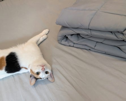 Slumberdown Wellbeing weighted blanket