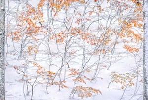Elena Pakhalyuk (Ukraine), When autumn meets winter