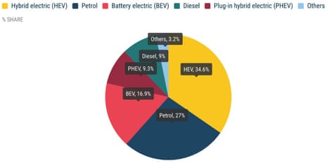 A pie chart showing European car sales