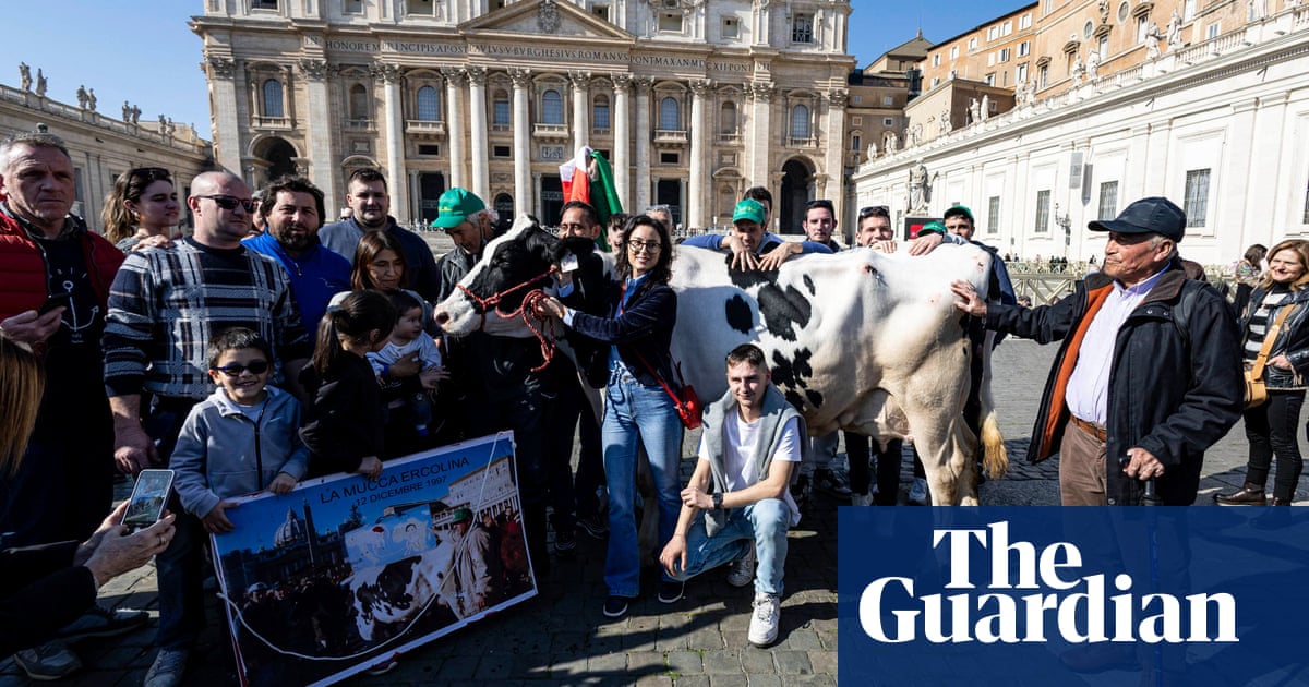Holy cow! Protesting Italian farmers bring bovine to mass with the pope | Italy