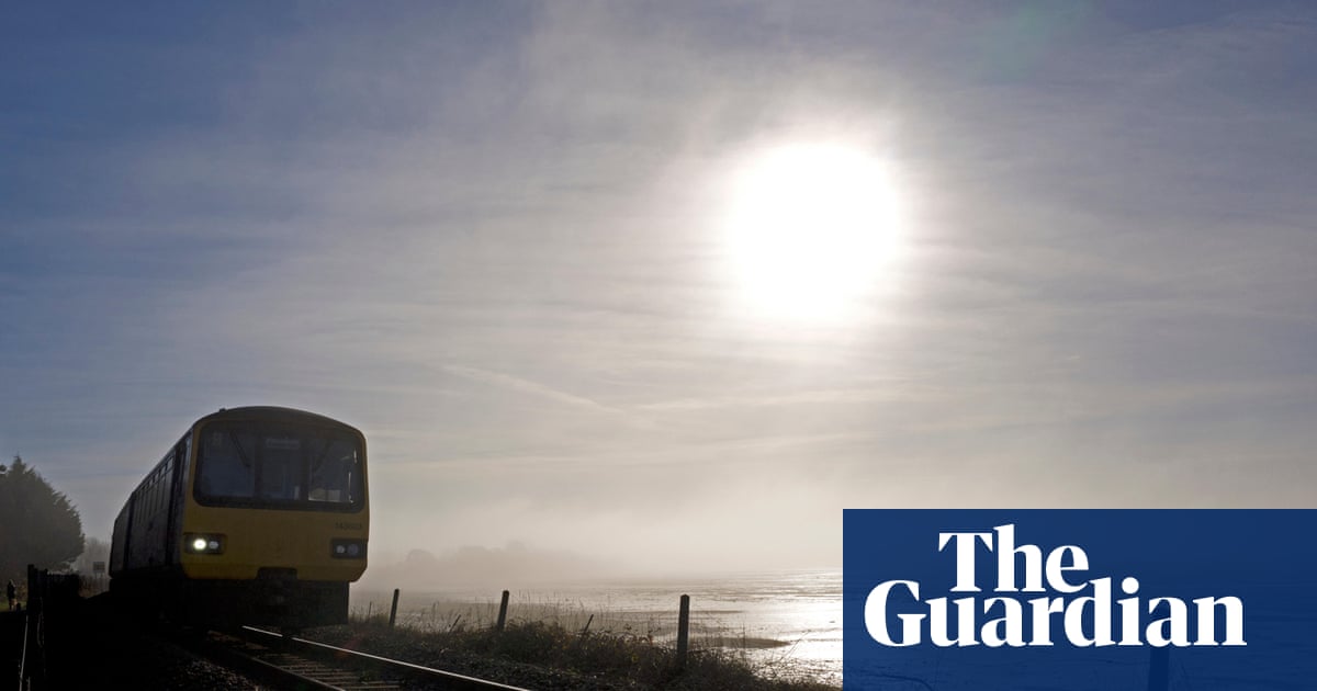 'In the distance I see tiny glowing silhouettes sprinkled like salt': birdwatching on Devon's Exe estuary