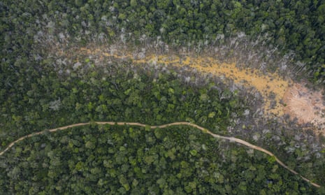 The destruction of jungle in Peru