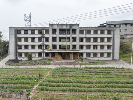 an abandoned building with rows of crops planted in front of it
