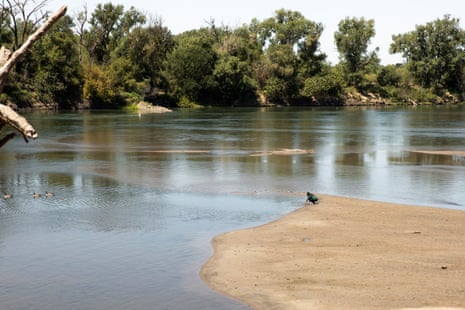 Malissa Tayaba hovers on a sandbank formed along the Sacramento River, which has been hit hard by drought and overuse.