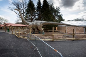 Download All Blair Drummond Safari Park Lacks Is Visitors In Pictures For Android Free Get Wallpaper All Blair Drummond Safari Park Lacks Is Visitors In Pictures Free HD