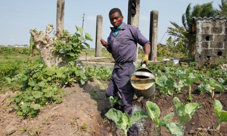 Mateus Mbazo, 23, irrigates his plot in the outskirts of Beira, Mozambique