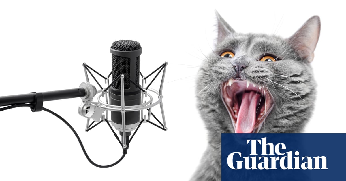 ‘Un gatito en celo con una figura provocativa’: el misterio del escalofriante maullido de gato utilizado en cientos de películas | Cine ‘Un gatito en celo con una figura provocativa’: el misterio del escalofriante maullido de gato utilizado en cientos de películas | Cine