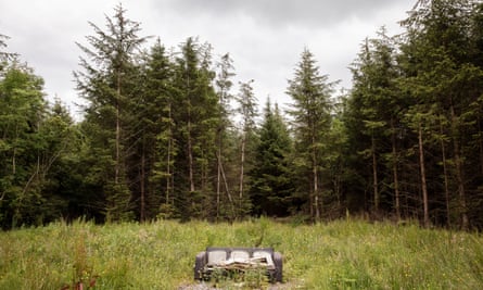 ‘It’s like a wall around you’, says Edwina Guckian of the spruce plantations in county Leitrim