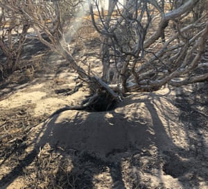 Bilby hole