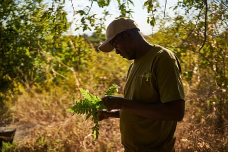 An environmentalist holds seedlings in Binga, Zimbabwe. The Kariba Redd+ project is one of the largest of its kind.