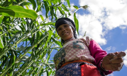The Worst Mistake In The History Of The Human Race Quizlet How Neolithic Farming Sowed The Seeds Of Modern Inequality 10 000