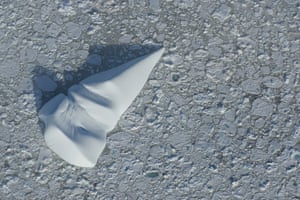 Rounded cone shaped ice berg in pack ice in Alexis Bay, Labrador