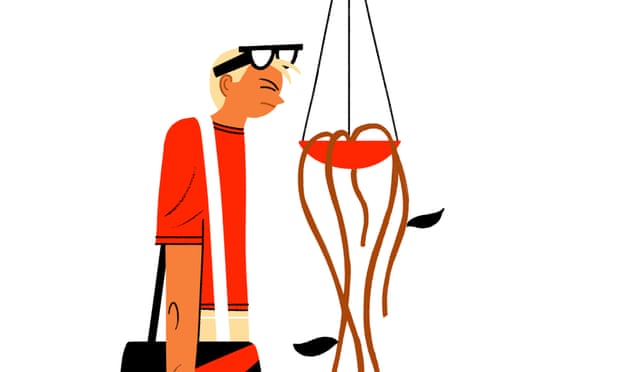 You be the judge: plant wars