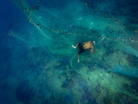 Aerial view of a man with goggles swimming above a reef and pulling a net around some fish