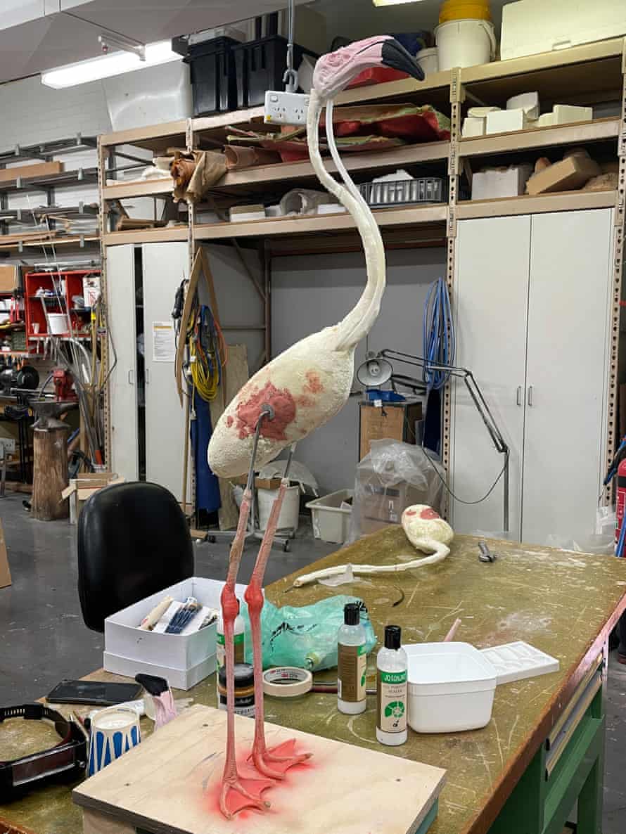 The SA Museum’s taxidermy specialist, Jo Bain, took on the task of preserving the flamingos.