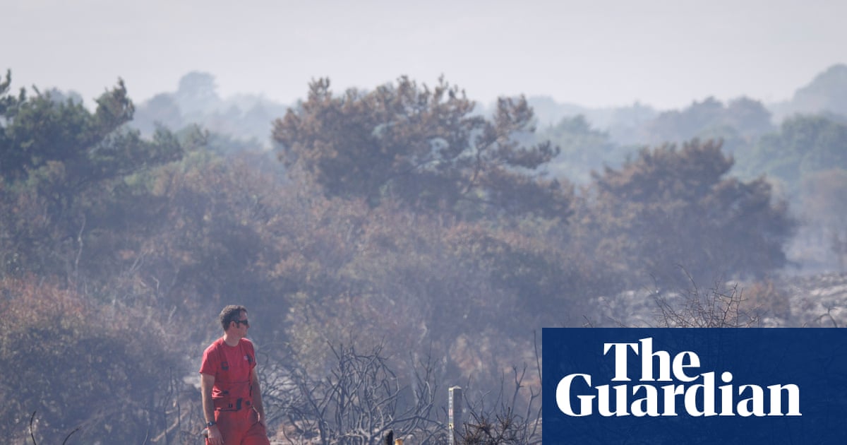 ‘These are human fires, not wildfires’: Dunwich reflects on the devastation
