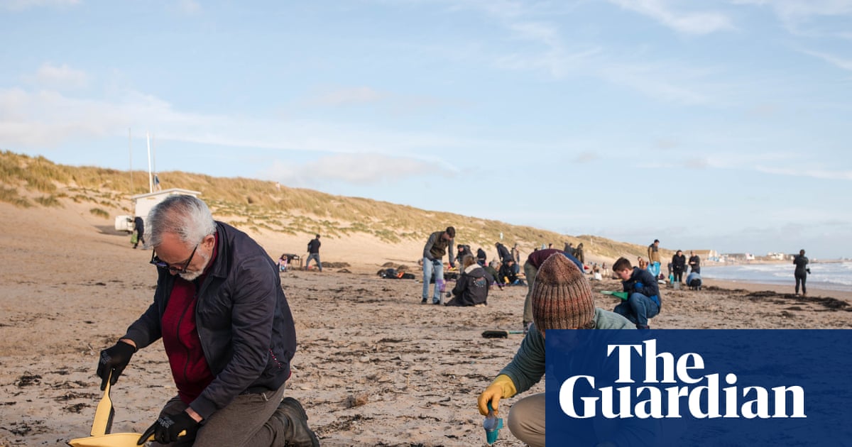 ‘We feel we’re fighting a losing battle’: the race to remove millions of plastic beads from Camber Sands