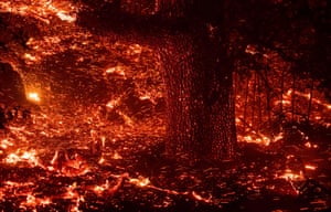 Embers blow in the wind as a tree trunk glows during the Kincade fire near Geyserville, California