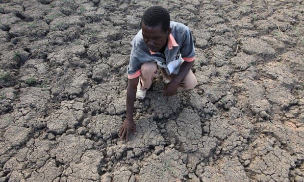 Zimbabwe’s leadership has declared a ‘state of disaster’ due to widespread drought.