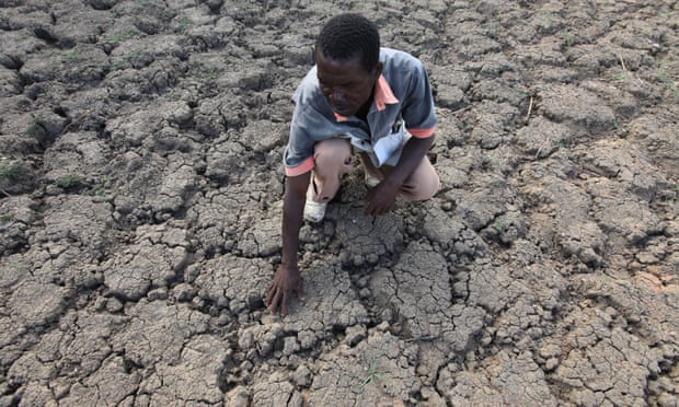Zimbabwe Seeks $1.5Bn In Drought Aid | Zimbabwe | The Guardian