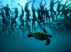 A green sea turtle, also known as Honu – a symbol of good luck and longevity in Hawaiian lore – swims past athletes awaiting the start of the 2016 Ironman world championship triathlon in Kailua Kona, Hawaii