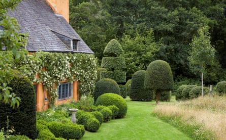 A view down the side of Allt-y-Bela, with lawn and topiary trees