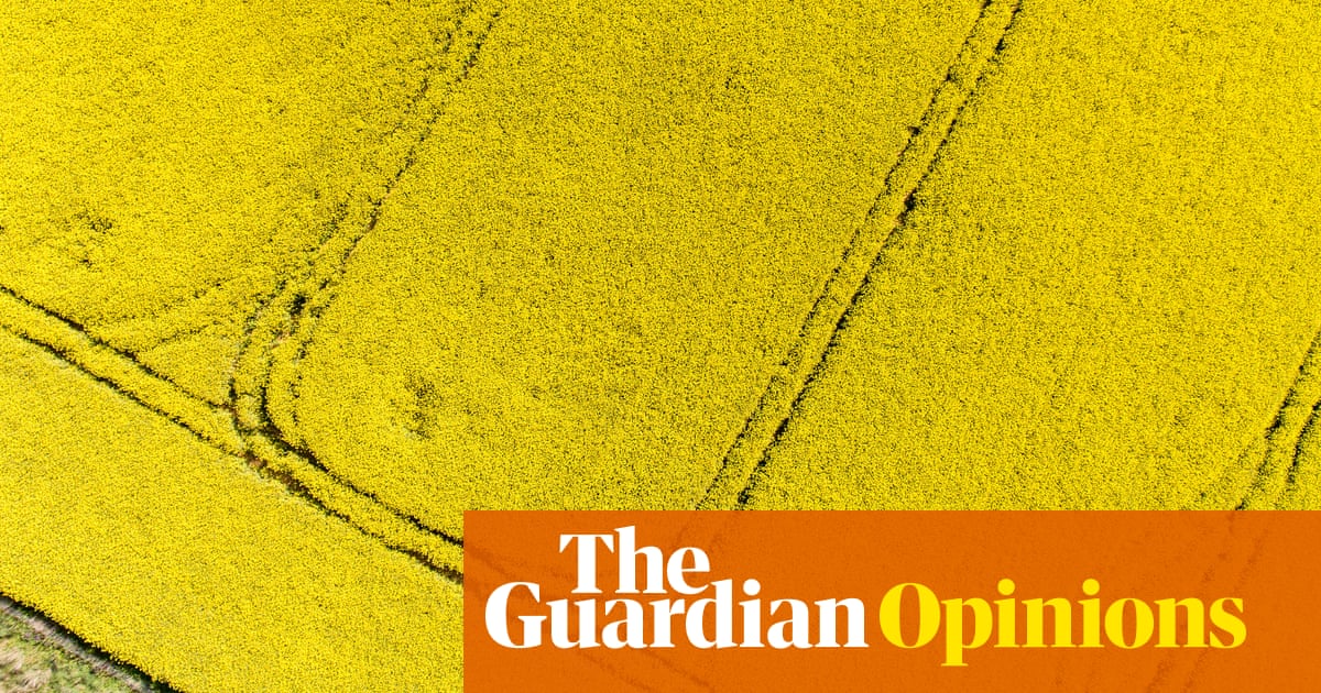 Farming has always been gambling with dirt – but the odds are getting longer | Gabrielle Chan Farming has always been gambling with dirt – but the odds are getting longer | Gabrielle Chan