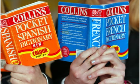 Spanish and French dictionaries