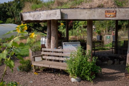 Bench and wooden building with plants growing around