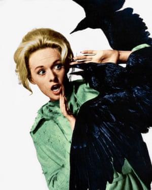 Tippi Hedren in Hitchcock’s The Birds.